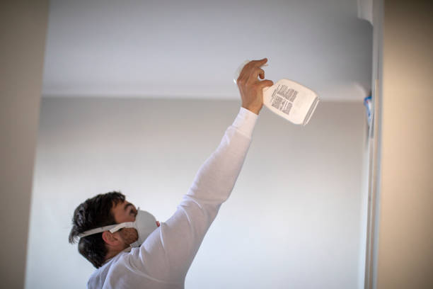 Best Basement Mold Remediation in Bucyrus, OH