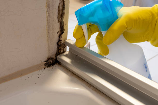 Best Industrial Mold Remediation in Bucyrus, OH