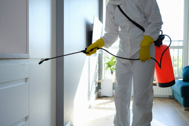 Best Post-Remediation Services in Bucyrus, OH