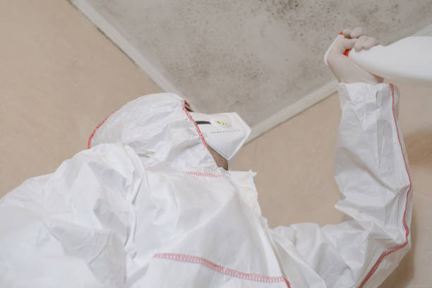 Best Crawl Space Mold Remediation in Bucyrus, OH