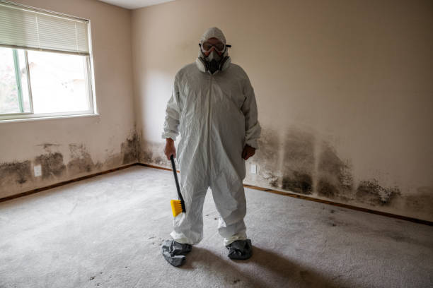 Best Residential Mold Remediation in Bucyrus, OH